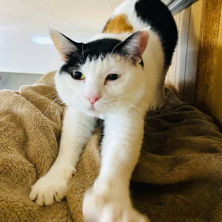 E3ab0478 d6b6 402d 8dbb 1e7d2055c183 1678052990045