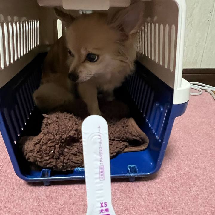 E3ab2de9 19f3 456a 874b adbc1628e9f6 1713266285149