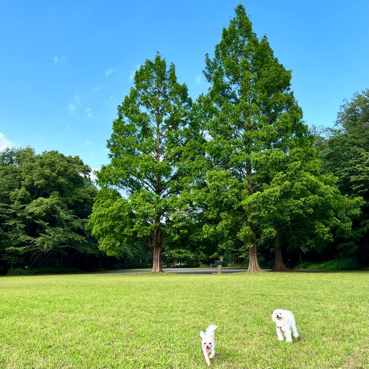 E3ab305c 3105 4b4c b58e 2b03f5fc9c96 1655020627607