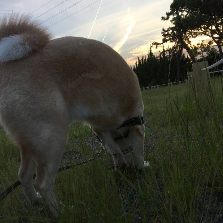 E3ab3575 ef3a 4ddd 83f5 224d54dd8e8b 1527419280946