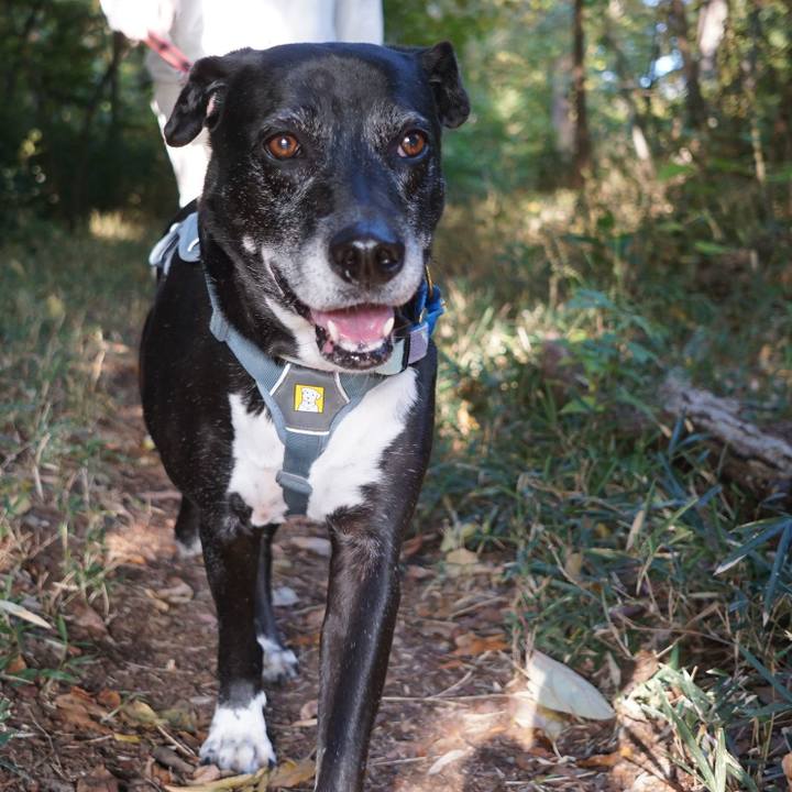 E3ab86c9 16a8 4191 95e6 378731005074 1762489369495