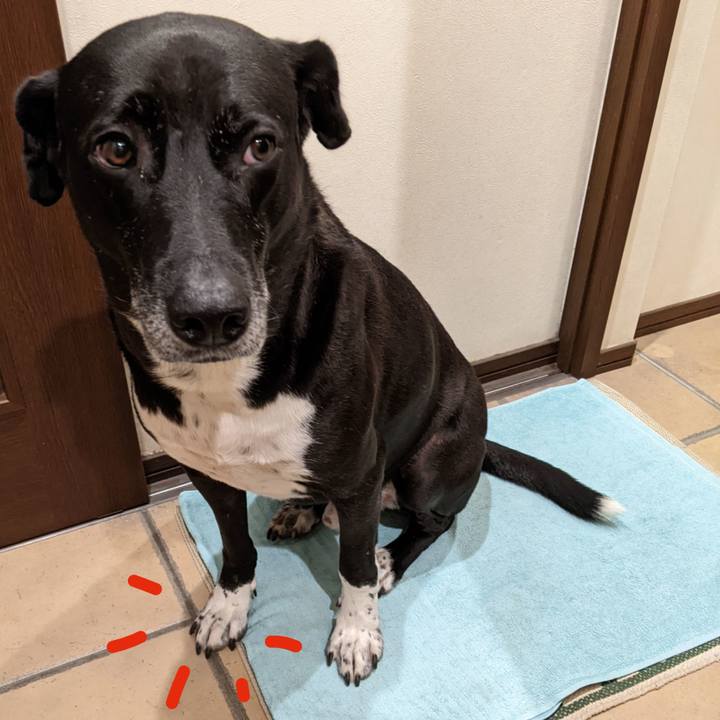 E3ab9639 6688 4806 b32e eace45a2f31a 1670065063202