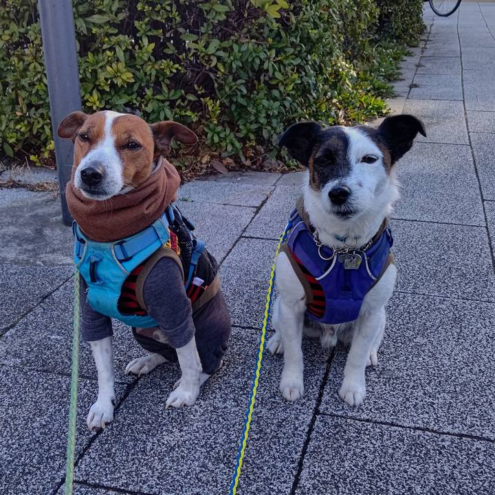 E3abbcad 2cc7 48ed b2e6 b993b475e7f1 1677371057601