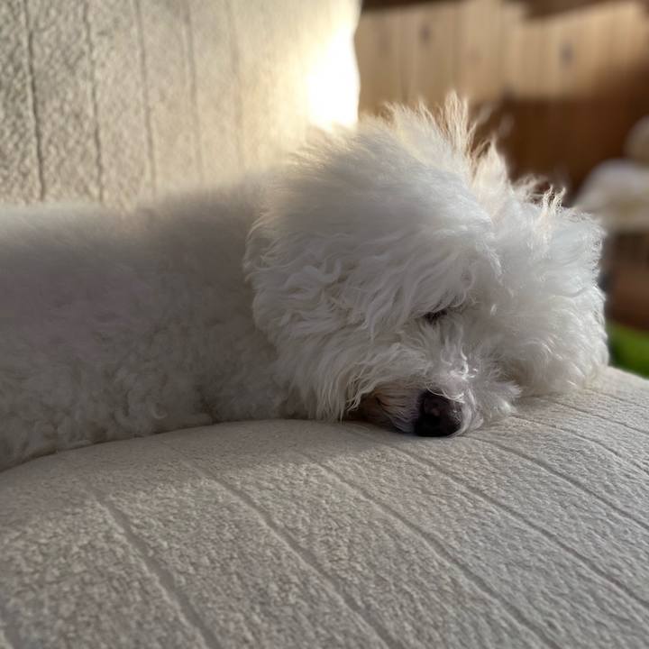 E3abddc8 35d7 48f3 b04f a2829366c0e5 1633245822823