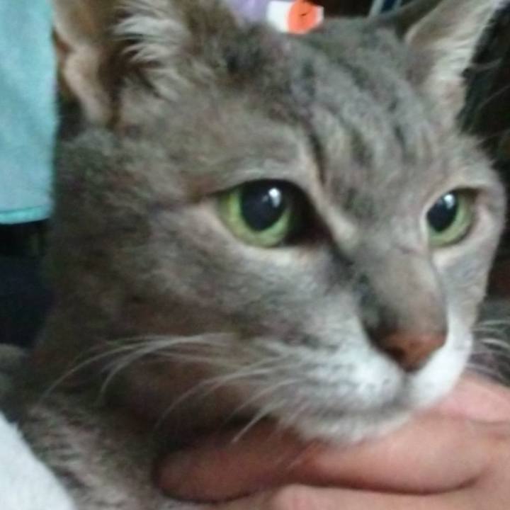 E3abec24 e459 4356 888b 62aabf3b3991 1699573084793