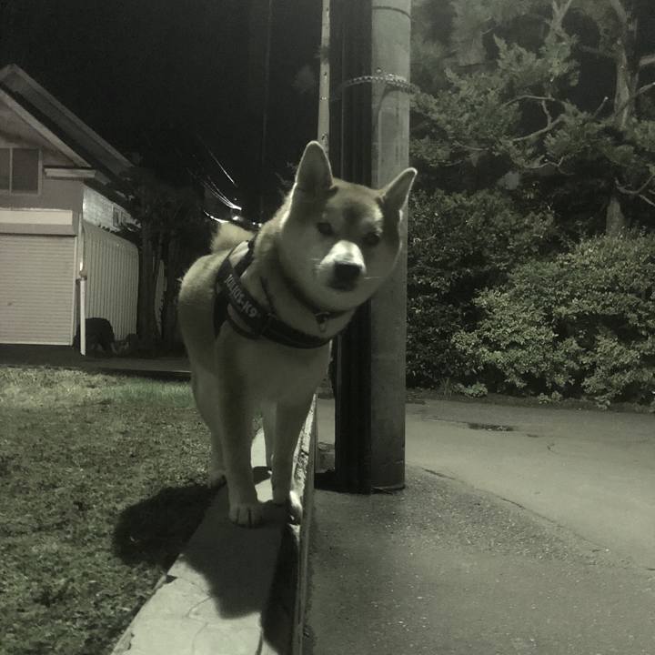 E3abefd7 8fed 44a4 8d0b a58e063b95ac 1539430187403