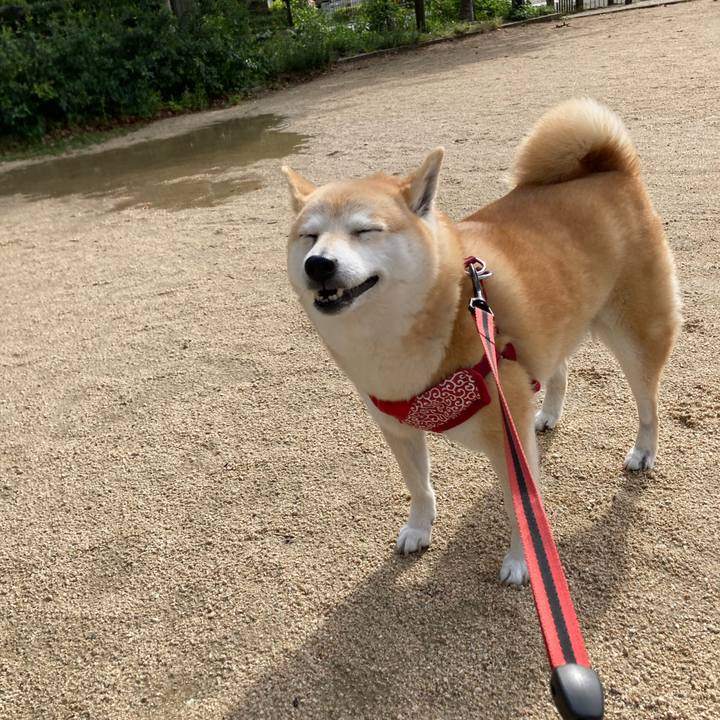 E3abf751 6097 4102 bc97 321f4922e88a 1620864359305