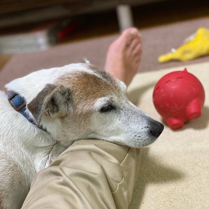 E3ac0f11 c8ab 427d a00c 98251ae3f80e 1630757991588