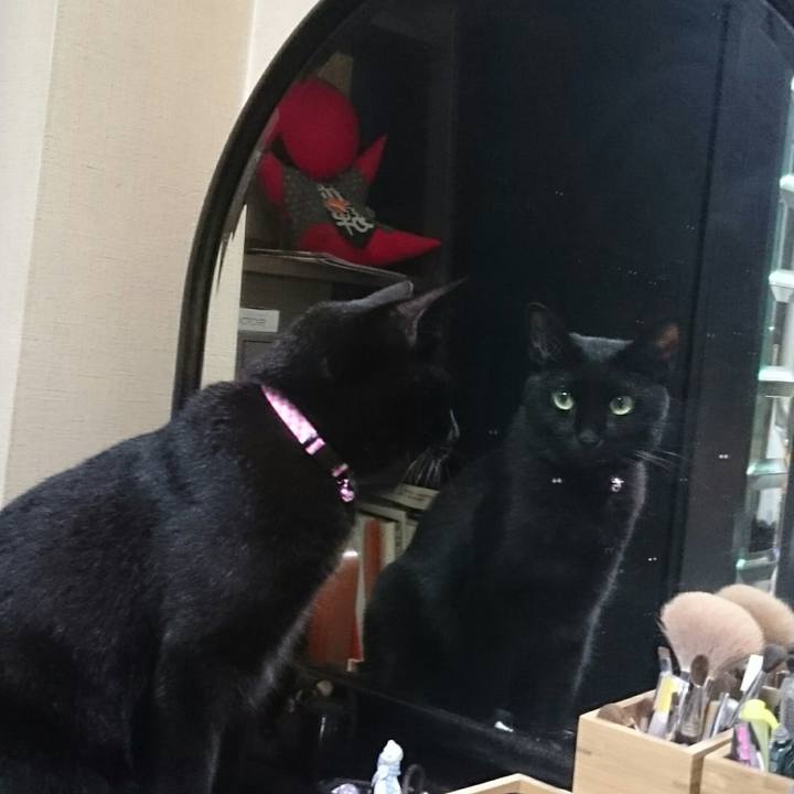 E3ac0f52 62df 4f81 baf9 bc7bf7039f54 1536238690681