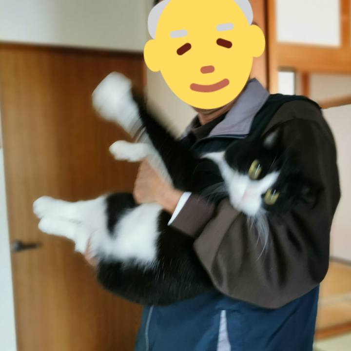 E3ac22f9 a41b 47f0 a5b0 f1b8bf20c7ed 1667618367485