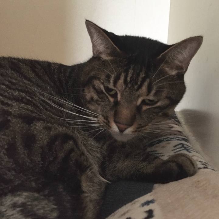 E3ac4d90 6106 43fb 8ce2 39f56698d66e 1508648893294