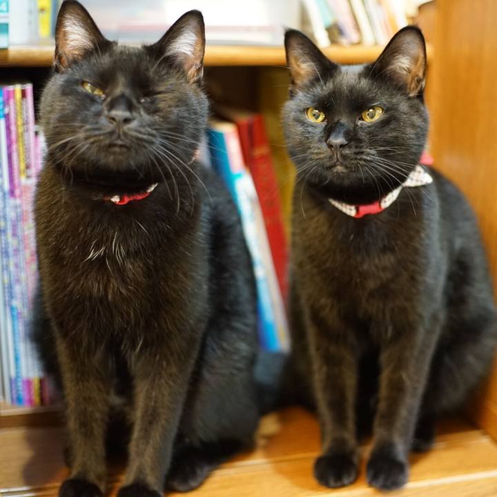 E3ac6c0d d783 41d6 b3c3 de25857fbfd4 1531922573005