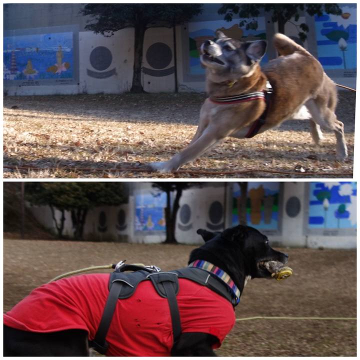 E3ace903 a12a 429d 8215 7a1e4ccc2e3f 1643333627961