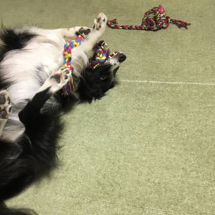 E3acfb01 675a 4f9f b901 9aa2b0f8399f 1526859851126