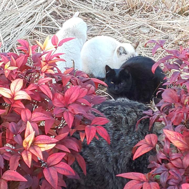 E3ad3bd6 9b48 494e b79c 28c0651635c2 1610526262938