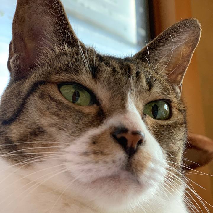 E3ad6a08 0855 4a42 8d60 33f234c4e060 1540257816359