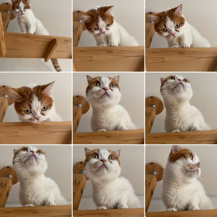 E3ad6fb1 4947 40cd 915c 9b656fbd2ec0 1774320912968