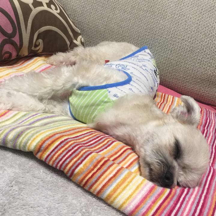 E3ad885f 7179 46b1 a126 61963f21c6b6 1523104250417