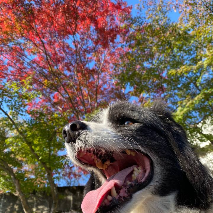 E3ada18f 58eb 4c2a 90cb 7fff5b7574e0 1699150440136