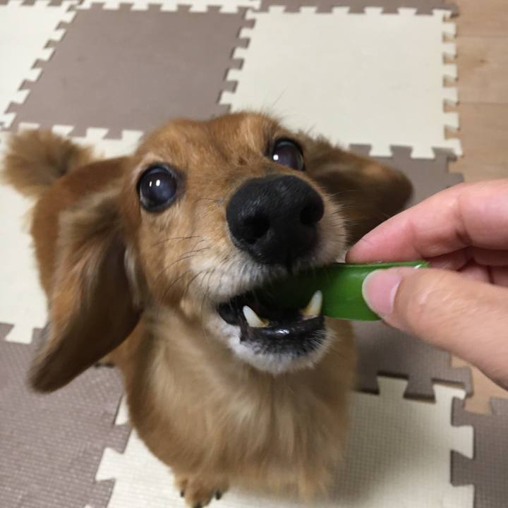 E3ada463 3c33 48d6 af95 efae04143e91 1582121266967