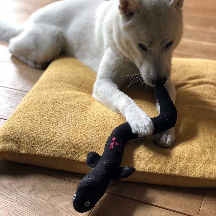 E3adb001 564e 4436 8392 3e7dc4a622a7 1528428752693