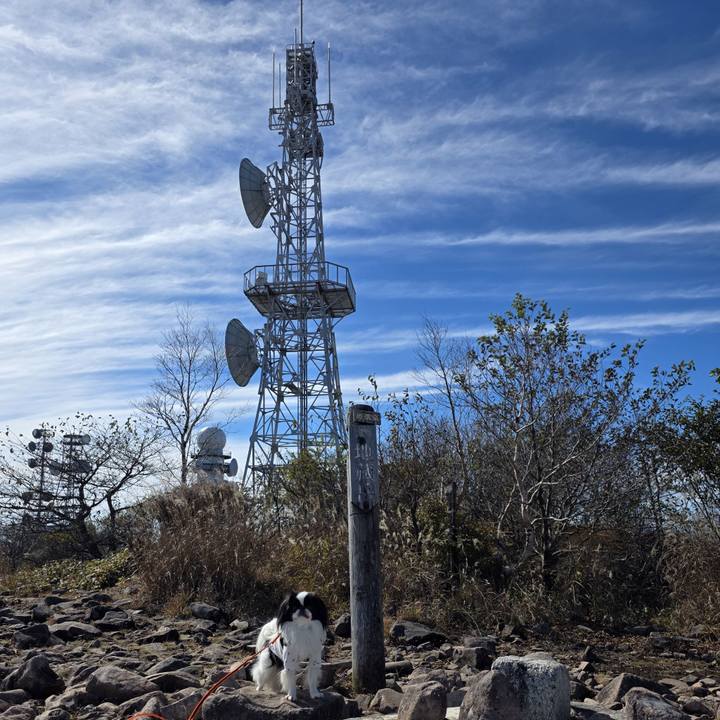 E3adb545 5489 4aaa 8017 2403659aa405 1761712495984