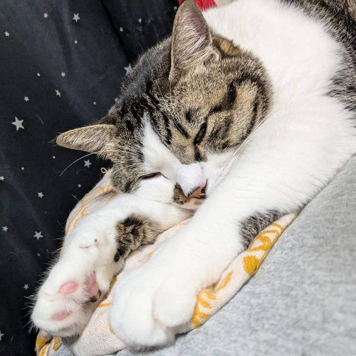 E3adea70 3478 4f49 a065 48798d995f7c 1725008700751