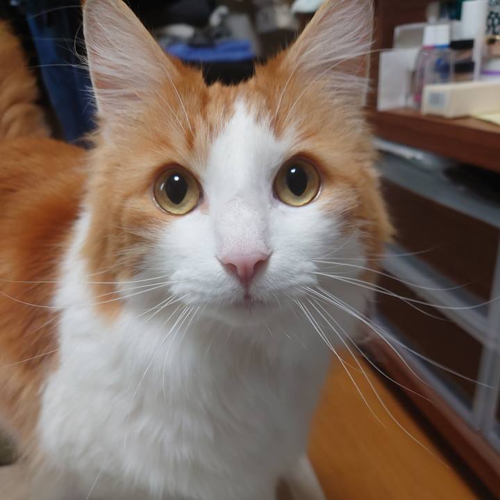 E3adf621 4234 453b b872 7df807737296 1615084289397