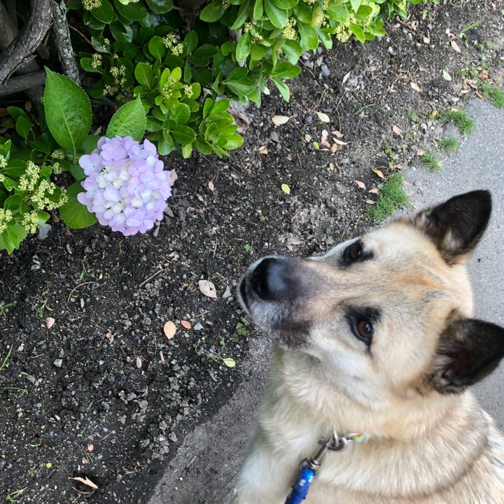 E3ae07ec da9e 495a bb16 fe371aaa26b6 1593000592001