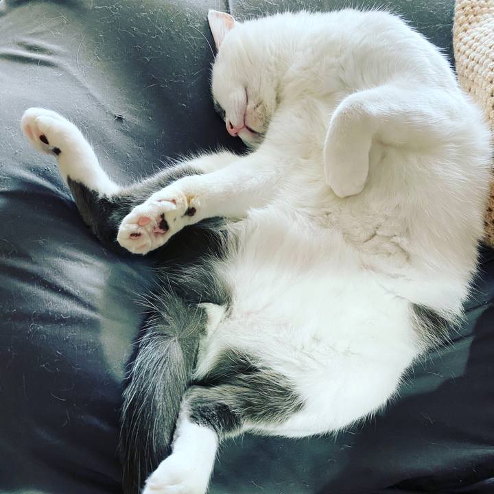 E3ae37bb 5469 488e bead 50137f8beec0 1591584542614