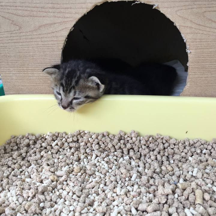 E3ae7c60 029d 40c5 af1d cd11073c0b51 1563236741378