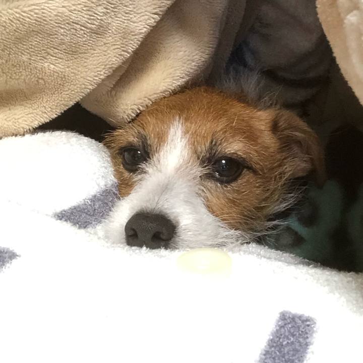 E3aea312 98e2 42cf b44e 41fc2d9981e5 1546065697599