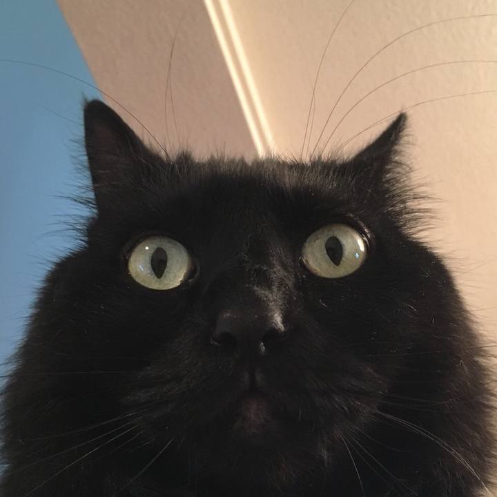 E3aec8c1 d09d 4aa6 ba1e a3a3b4ff6baf 1527991450091