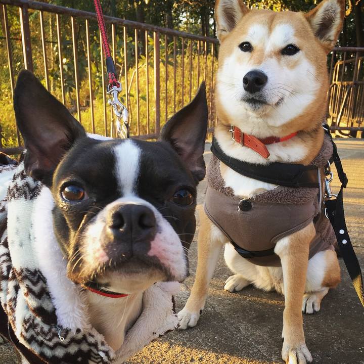 E3aeda4d 5d55 4fca bfaa 9db6ed0156b8 1518618982993