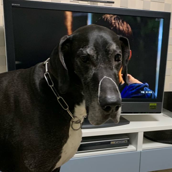 E3aeee9b 0ccf 4282 81b7 b71f823059a0 1552651778177