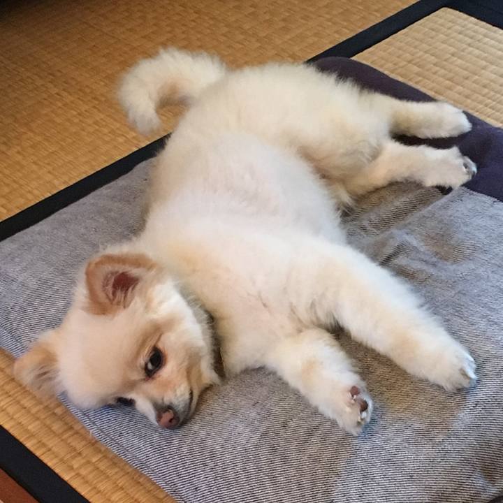 E3af3ad4 8cb5 48db 8801 f6aadce1ad0d 1556371761707