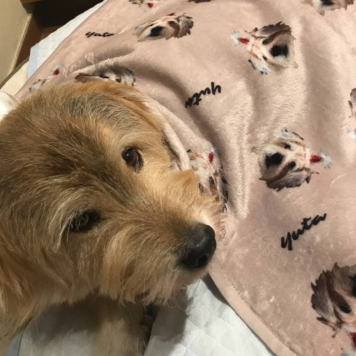 E3af434d 02c9 4eff b980 a6b9bcc185d0 1639363203187