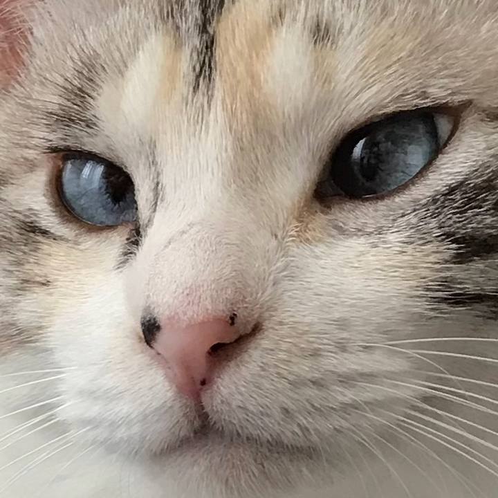 E3af5c3d 0894 42bd 8432 621468b715ee 1532162298699