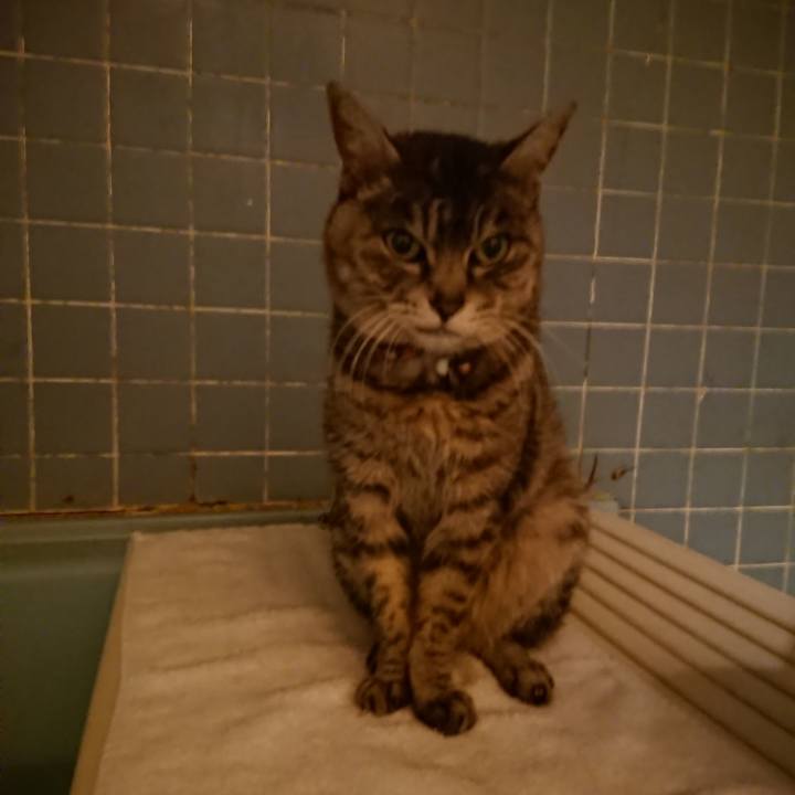 E3af6899 721b 4133 b435 c94750bd405b 1583487572427