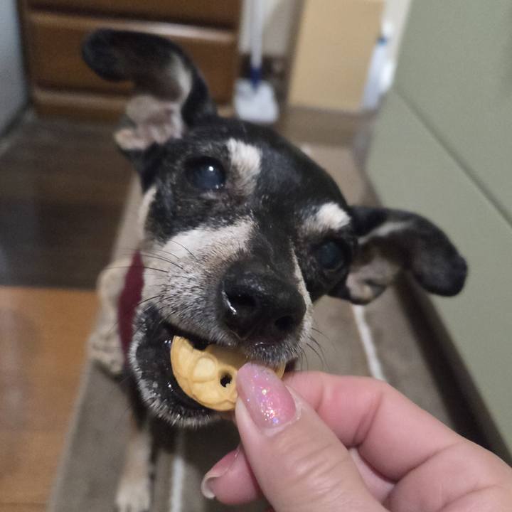 E3af7038 4e8d 4009 9bed e345a32ed641 1773690586541