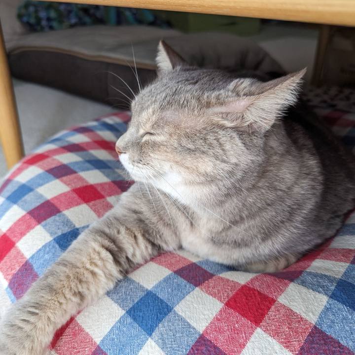 E3af94a7 77d2 4fcf 8c73 8f1c9a74e1e0 1696130984497