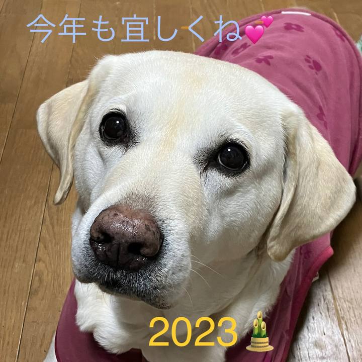 E3af9bea 15a8 4076 91cf 02da61d87905 1672615522215