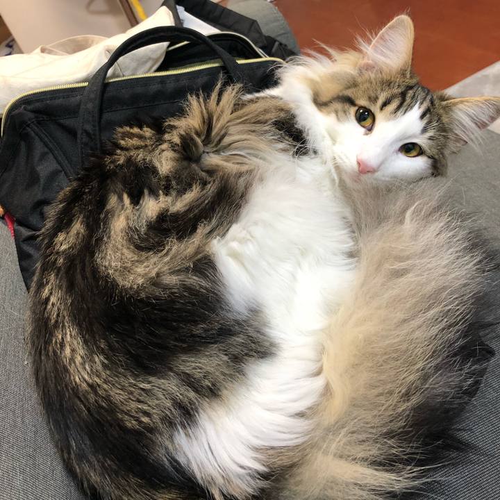 E3afab56 ad1d 424d 87dc 48e0621b21bd 1521263213093