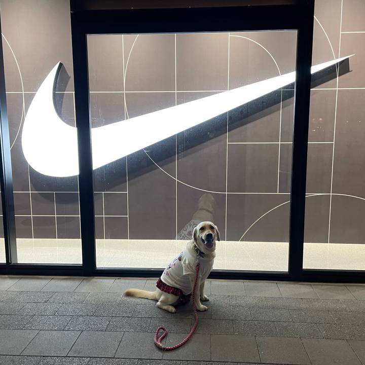 E3afcd3a 566f 49fd affe aa5f4a1ca0d5 1664458171649