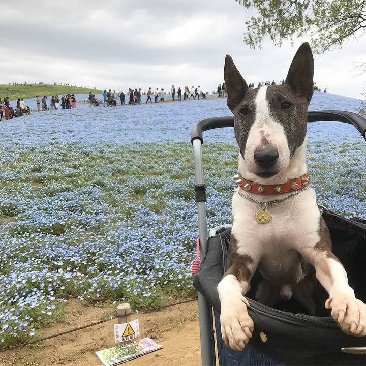 E3aff3e0 2ef7 4f5c ab28 11a7f486d582 1523755002656