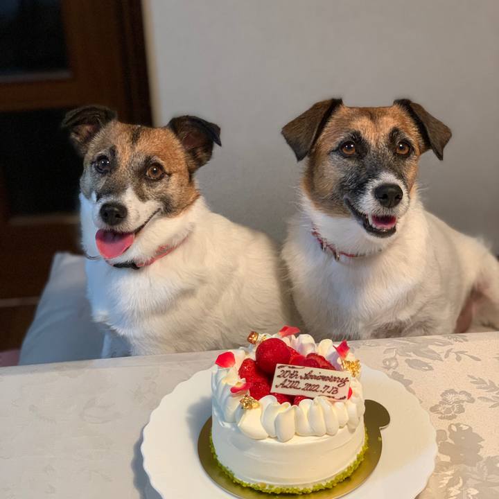 E3b0215e 0477 47cf 9d0b bac9debd731e 1657718863781