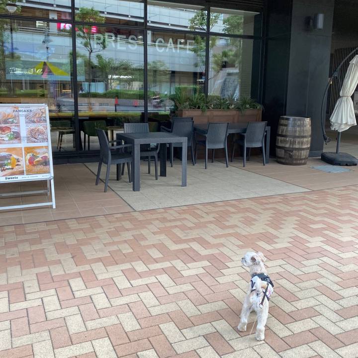 E3b041ec 58c3 4c35 9b48 dc9325c77e38 1569575161440