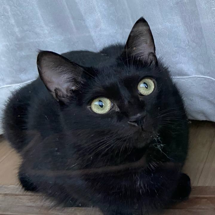 E3b075d6 a929 43e5 98df 22ed2bc6891c 1663759565407