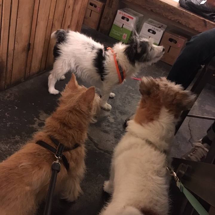 E3b0812b 2f5f 40f7 afcf 5675657cf257 1572176950614