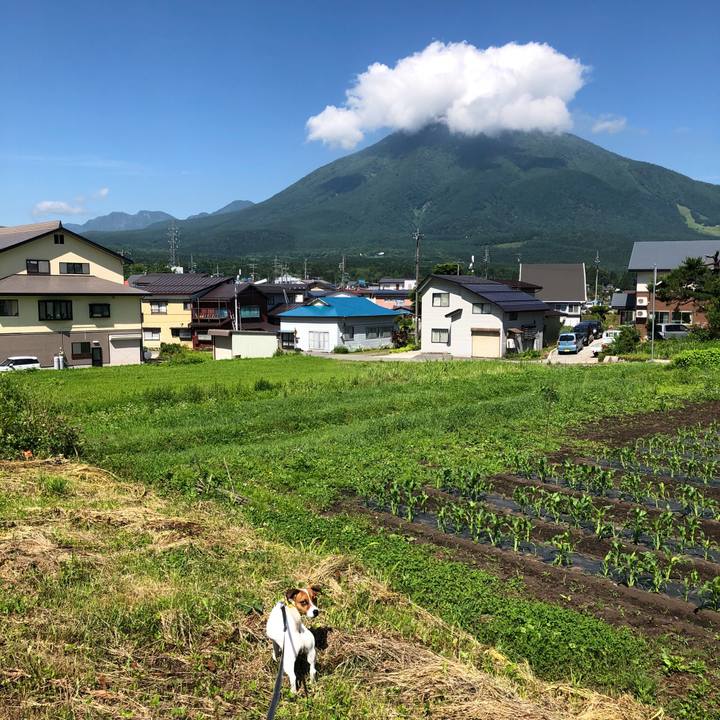 E3b0a274 451c 42b5 8af2 4d7ee3a97e91 1529835880996